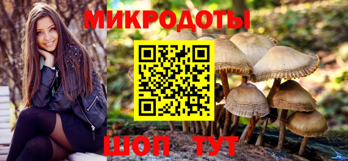 Галлюциногенные грибы Psilocybe  Вход с VPN  Гусиноозёрск 